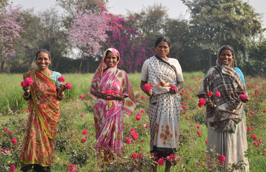 What is a B Corp? ORGANIC INDIA: Using Business as a Force for Good.