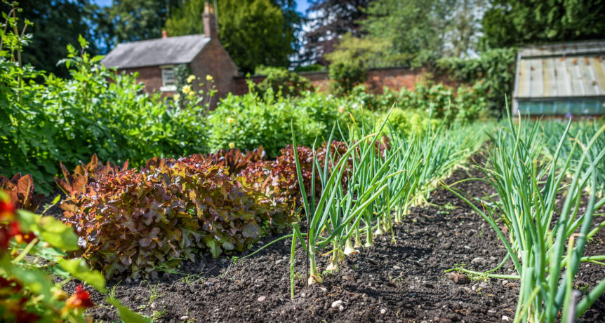 Regenerative Home Gardening - Lessons From the Experts